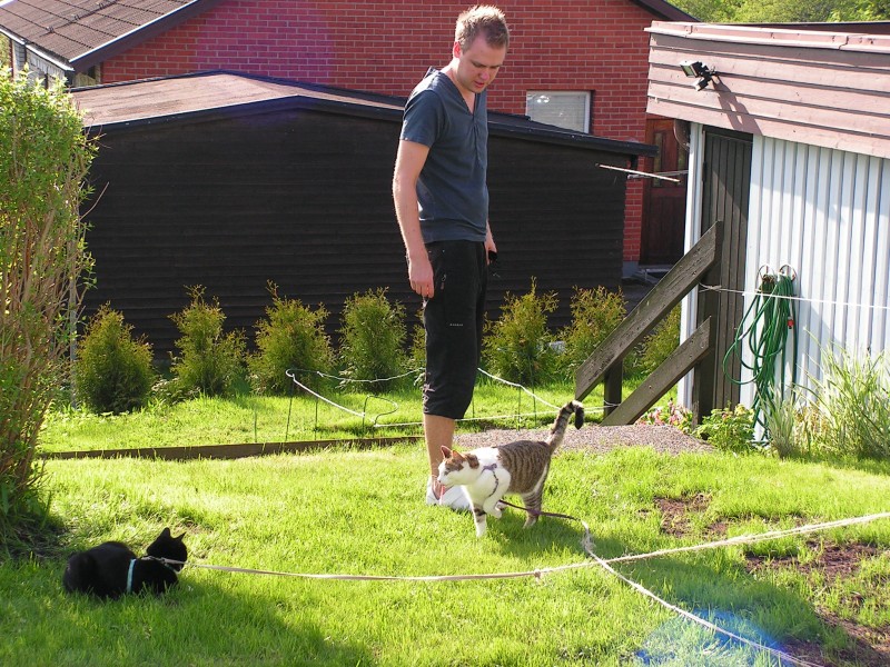 Henrik med katterna Lucy och Seany.